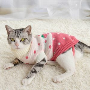 סוודר לחתול